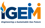 IGEM Logo.png