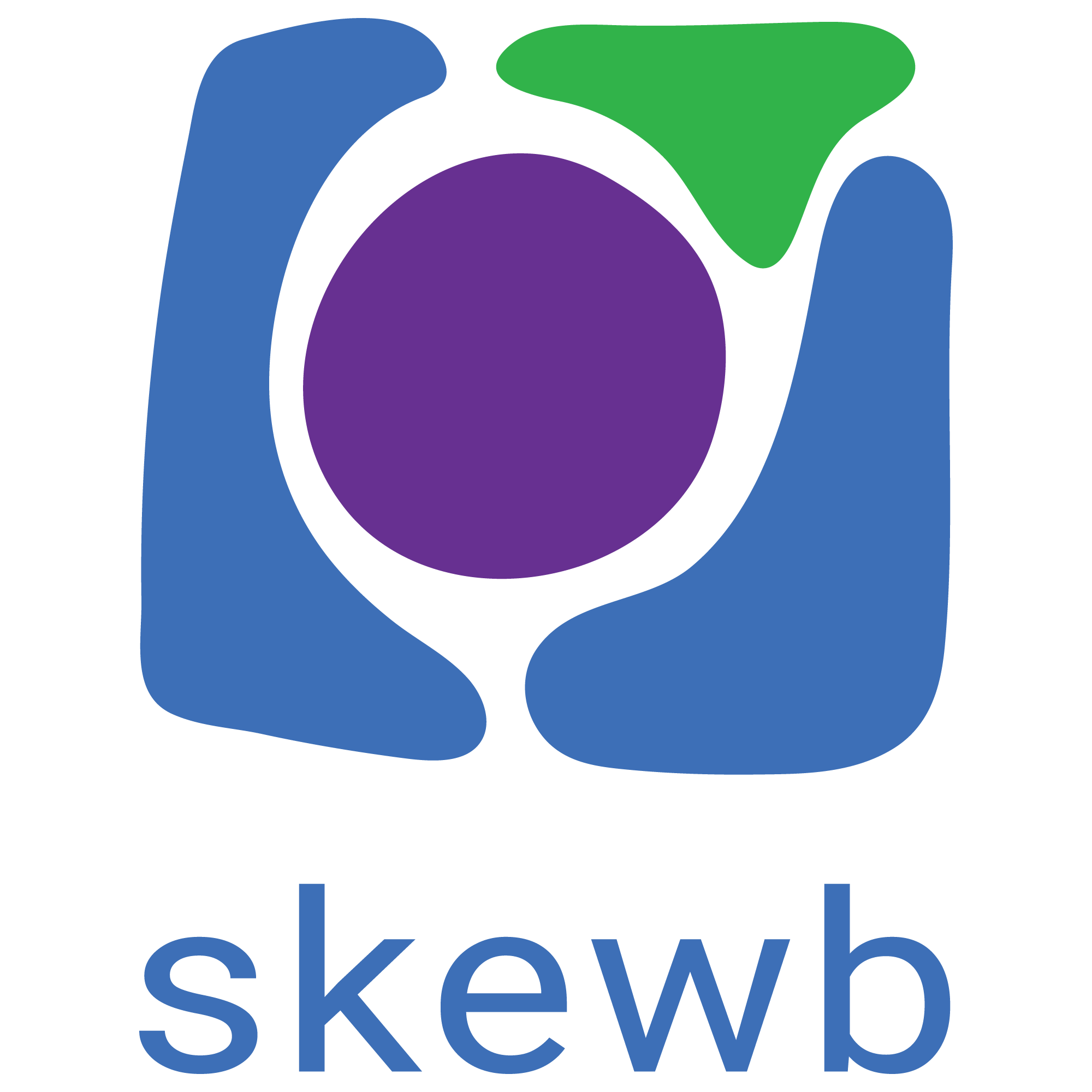 Skewb_Logo_2018_FINAL_Silver_Mountain_Transparent_PNG_2000x2000px copy.png