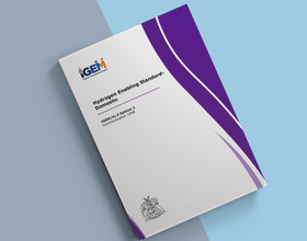 IGEMH2-Edition-2.jpg
