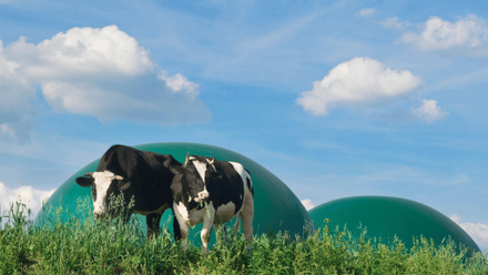 Bio methane